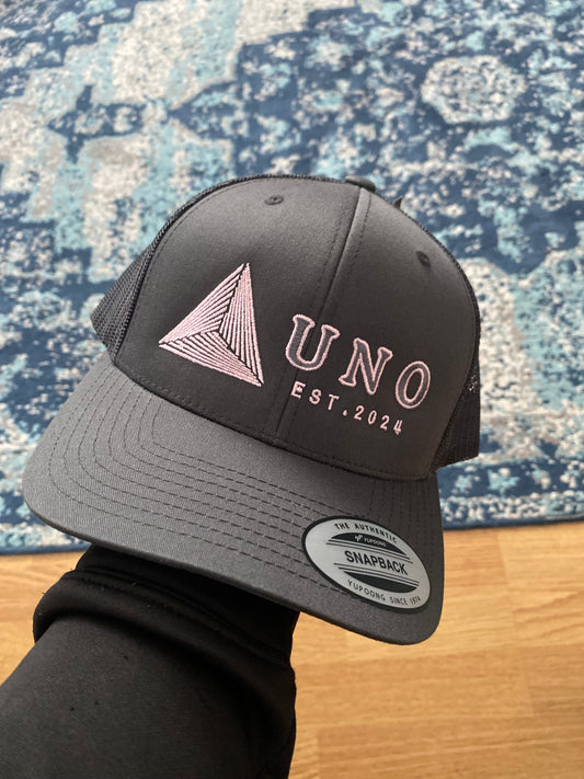 OG CAP (PINK + GREY)